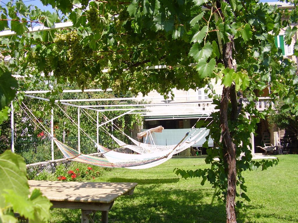 Guest House Darinka Draga Bašćanska Exteriér fotografie